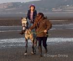 Bobby, 12.2hh DHP Gelding