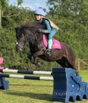 Lottie, Shetland Riding Mare
