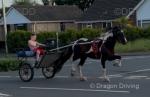 Rocket Ronnie 14.1hh, Driving Gelding 