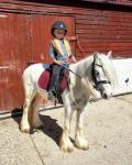 Peanut, 11.2hh Riding Gelding 