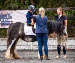 Bambi, 12.1hh Riding Mare