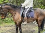Ada, Riding Mare