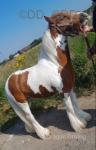 13.2hh Ride and Drive Gelding
