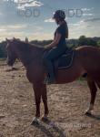 16hh Ride & Drive Gelding